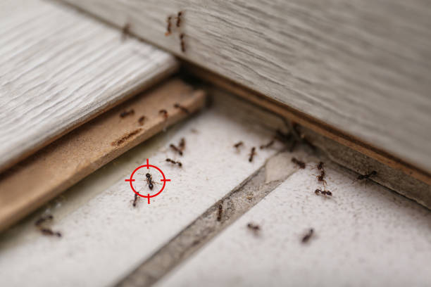 Kentwood, LA Pest Control Company