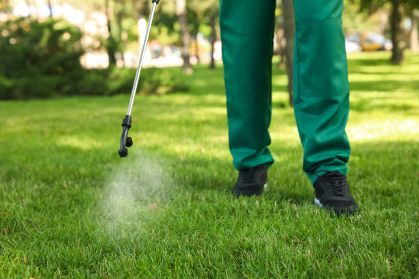 Best Mosquito Control Services  in Kentwood, LA