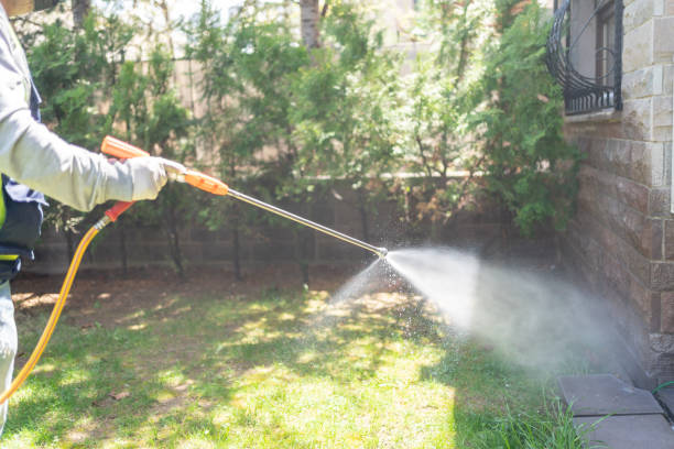 Wildlife Control Services in Kentwood, LA