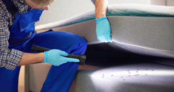 Wasp Removal Services in Kentwood, LA