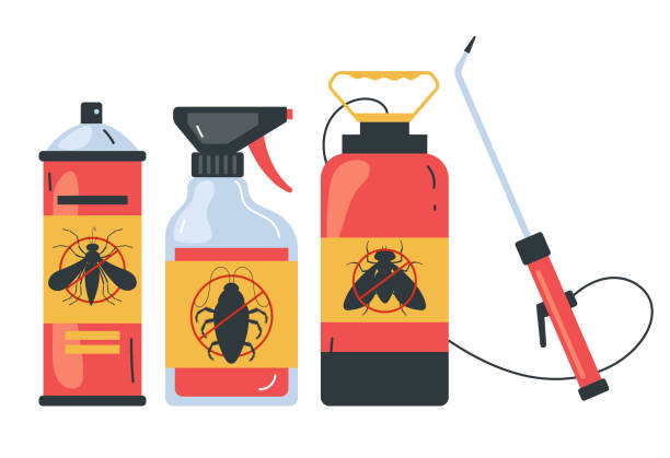 Best Affordable Pest Control Services  in Kentwood, LA