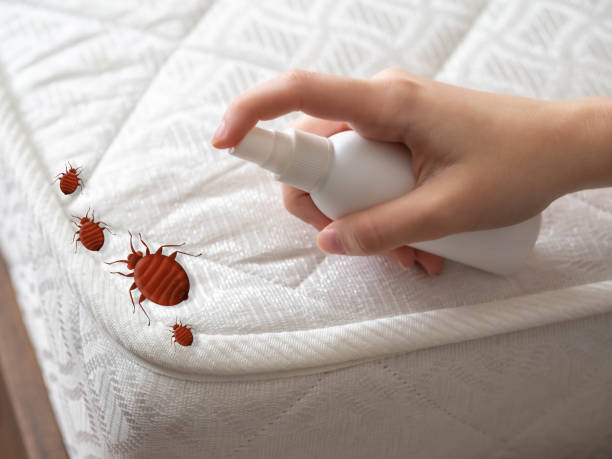 Pest Prevention Services in Kentwood, LA