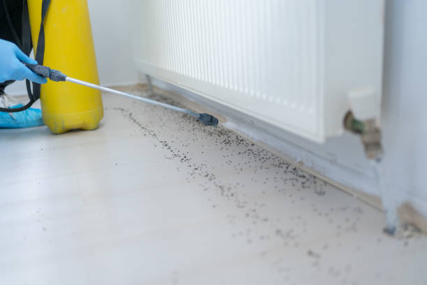 Best Residential Pest Control  in Kentwood, LA