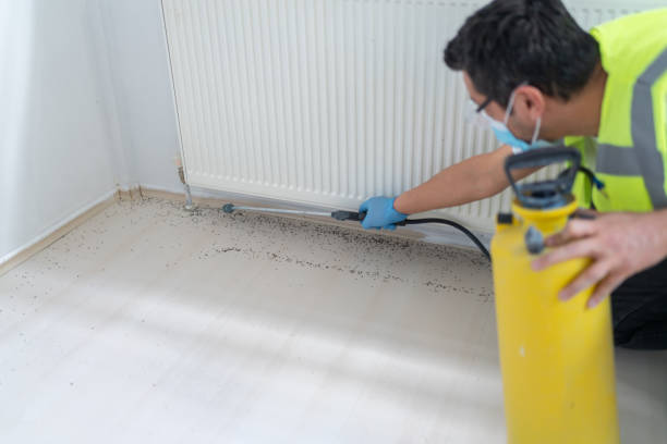 Best Exterminator Services  in Kentwood, LA