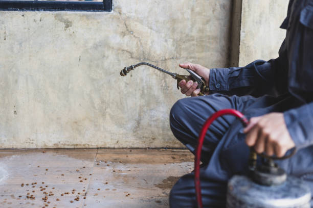 Reliable Kentwood, LA Pest Control Solutions